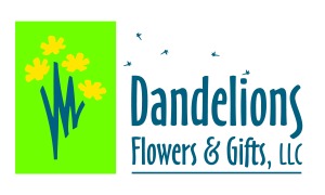 dandelions flowers eugene