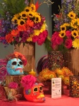 mexican theme flowers